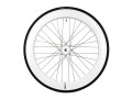 del-rueda-blanca-sf-60-1.jpg