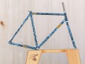 0039266_blb-x-squid-bikes-so-ez-frameset-ed-coating.jpeg