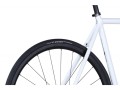 darkside-manheim-track-fb-al-wh-3_1.jpg