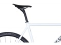 darkside-manheim-track-fb-al-wh-7_1 (1).jpg
