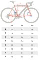 royal4-geometria.jpg