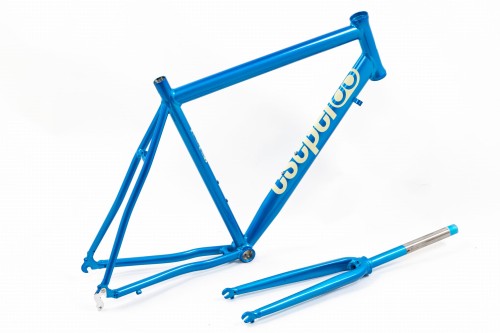 TorpedAl_Blue.jpg