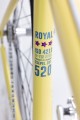 Royal 3_Yellow_05.jpg