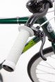 Royal 3_Green_06.jpg