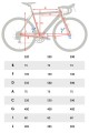 royal3-geometria.jpg