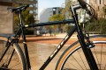 santafixie-wild-black-inf4.jpg