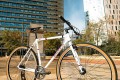 santafixie-wild-white-compr-inf1b.jpg