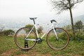 santafixie-wild-white-compr-inf2.jpg