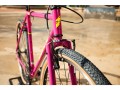 santafixie-wild-fuchsia-inf2 (1).jpg