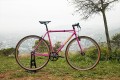 santafixie-wild-fuchsia-inf6.jpg