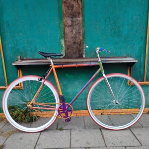 Malowanie customowe Ramy " Cameleon"