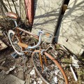 IMG_20220209_124158.jpg