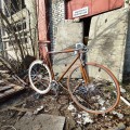 IMG_20220209_124316.jpg