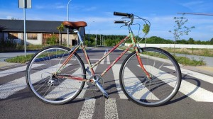 Baluma Rower Miejski Retro Ściółka Leśna  Damski