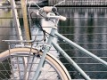 0037636_blb-butterfly-3spd-town-bike-sage-green.jpeg