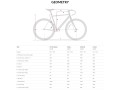 0035739_aventon-kijote-adventure-bike-charcoal-skid.jpeg