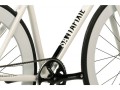 white-7_4.jpg