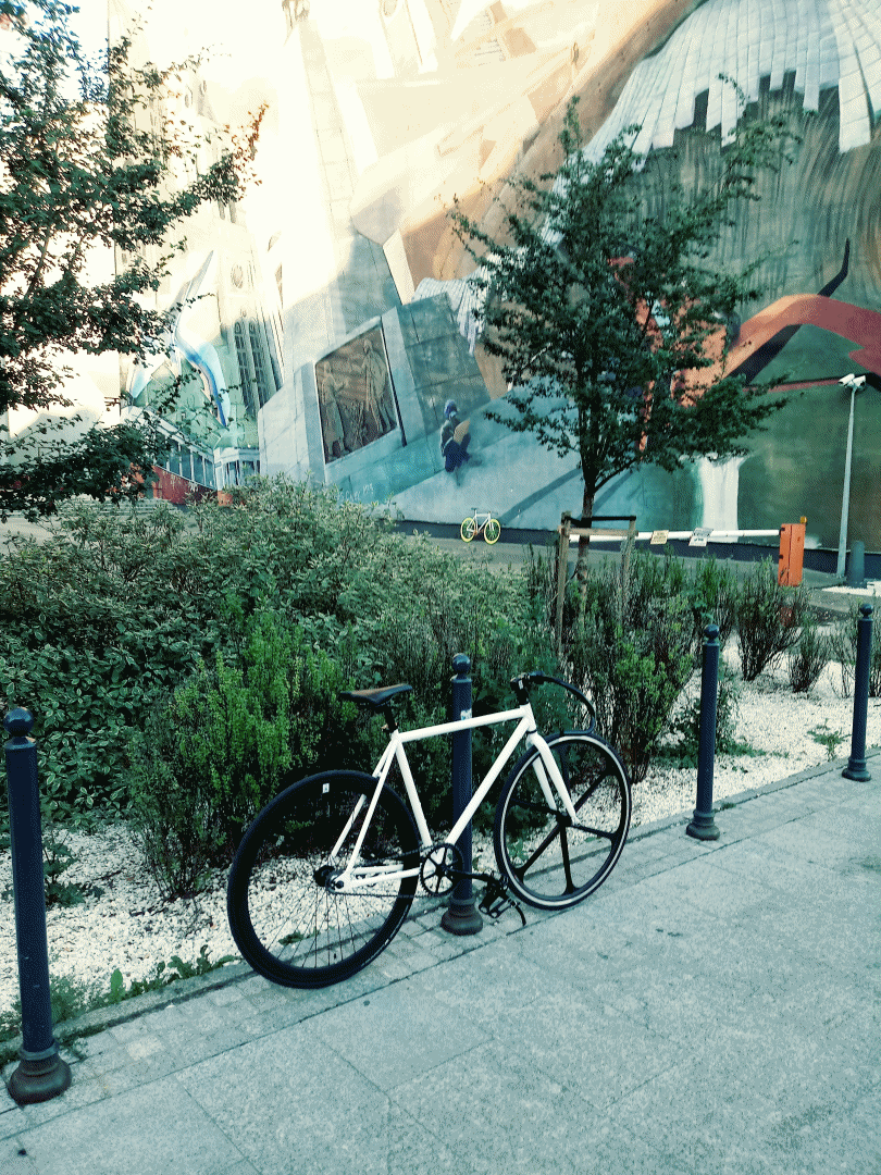 Ostre koło czy single speed?